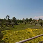 Dimitraki Skala Rachoni (Thasos)